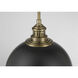 Vorey 1 Light 13 inch Coal And Oxidized Aged Brass Pendant Ceiling Light, Outdoor